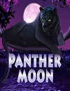 เดิมพันกีฬา เทคนิคและวิธีเล่นอย่างมืออาชีพ